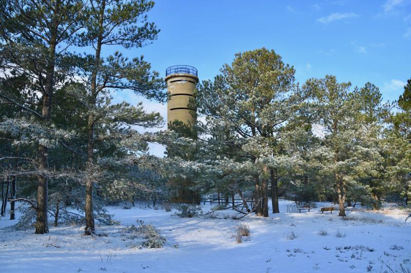 In every season, Cape Henlopen State Park offers beauty.
