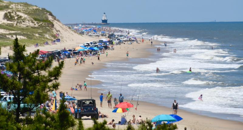 One of the best views in the park (and the entire Cape Region, for that matter) can be found atop the dune at Herring Point.