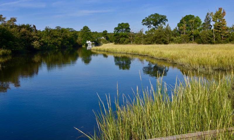 Wider buffers along tidal wetlands and waterways, such as Canary Creek, and a 30-foot buffer along non-tidal wetlands and waterways are included in the updated Sussex County wetland buffers and drainage ordinance. RON MACARTHUR PHOTO