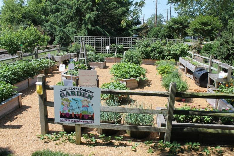 The Children’s Learning Garden has grown to be a major attraction for area children. LEWESINBLOOM.ORG PHOTO