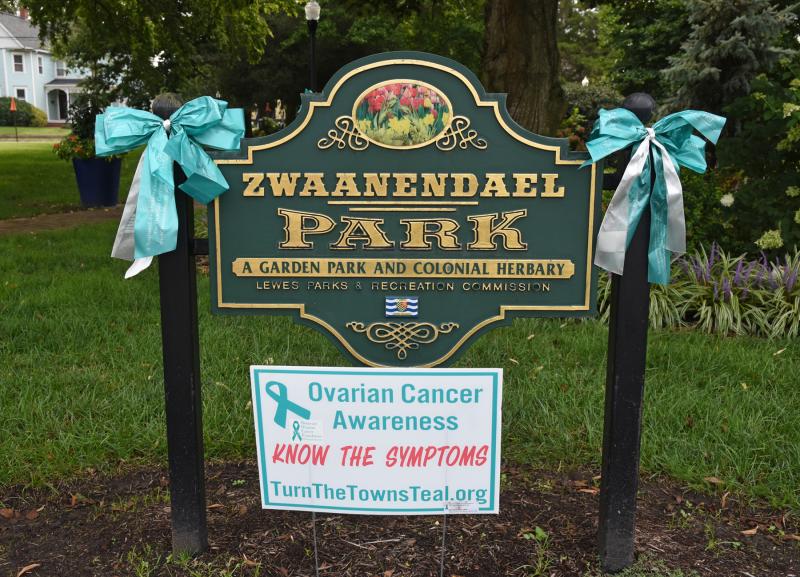 For ovarian cancer awareness, teal ribbons will be affixed to poles and signs throughout downtown Lewes during September. NICK ROTH PHOTO
