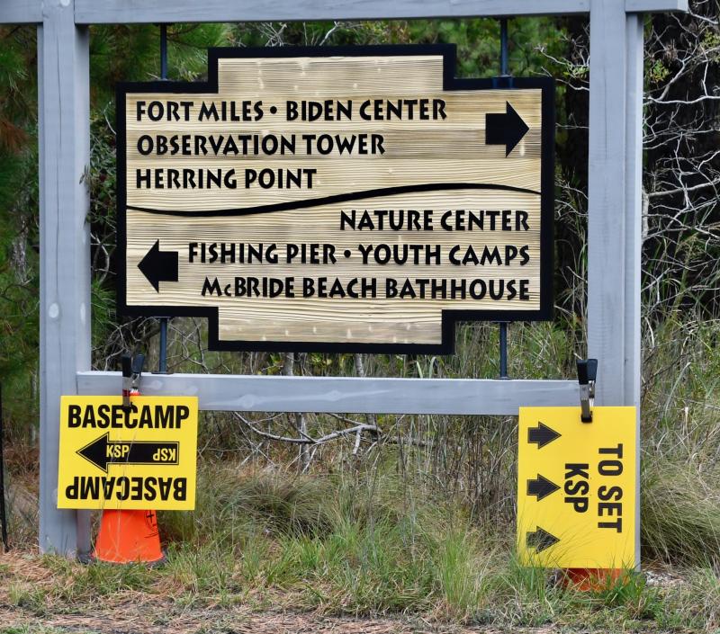 Yellow directional signs placed by King Street Productions are all over Cape Henlopen State Park