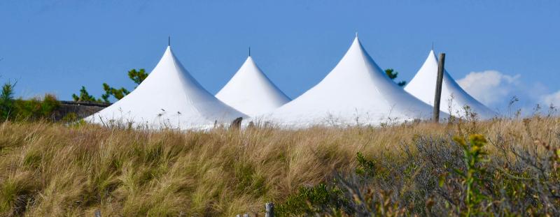 Tents pop up over the dunes and grass at Herring Point.
