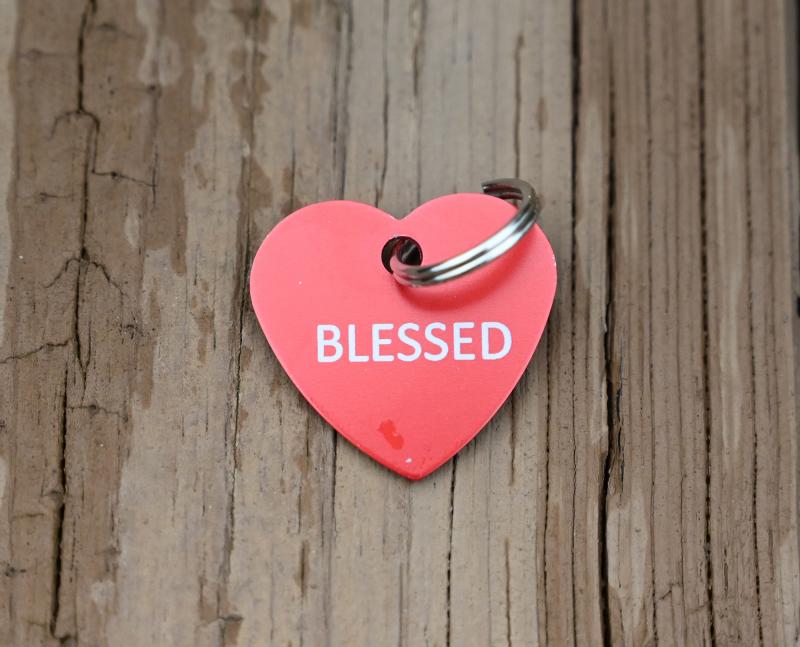 Each animal was given a heart-shaped collar tag engraved with the word “blessed.”
