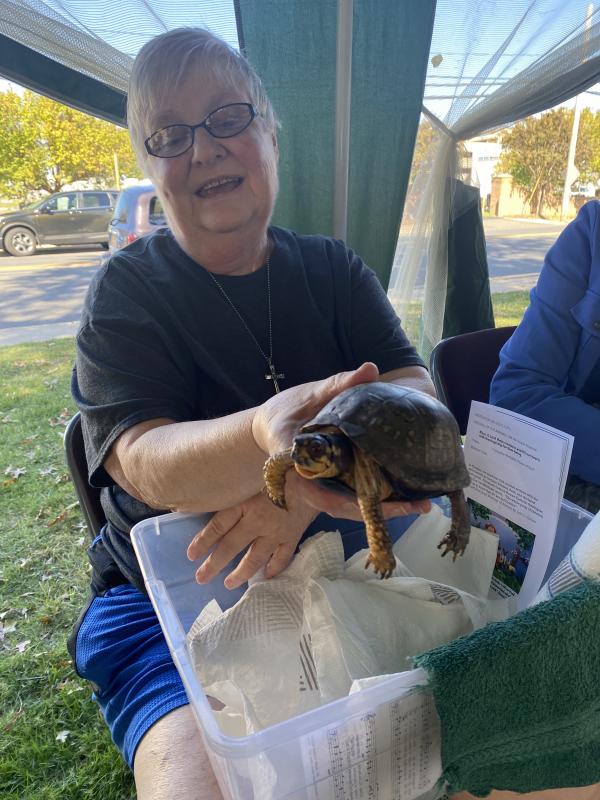 At 40 years old, Harriet the turtle receives her blessing.