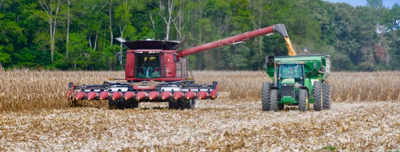 Combines unloading their corn is a commonplace occurrence throughout Sussex County each fall. Corn is the No. 1 crop in the county and state. RON MACARTHUR PHOTOS