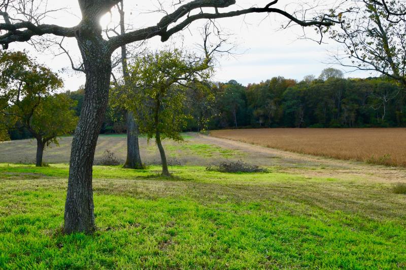 You can count the number of hills in Sussex County on one hand. The preserve’s unique topography includes Hopkins Hill in the middle of the 52-acre property.