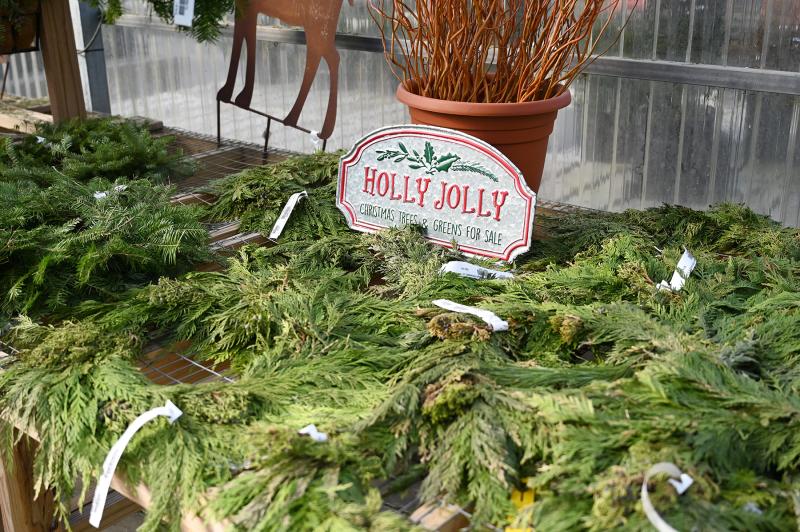 Plenty of holiday greens are available.