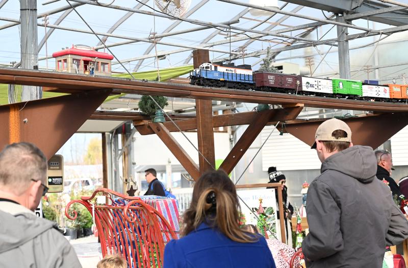 A train chugs along above guests.