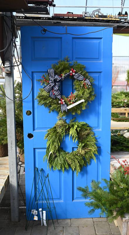 These wreaths really pop off the blue door.