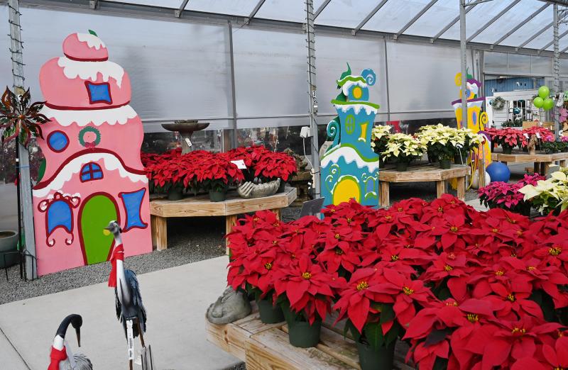 Whoville houses sit among tables of poinsettias.