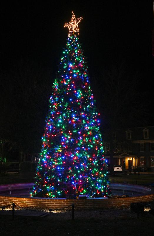 The Georgetown Christmas tree looks beautiful in the center of The Circle.