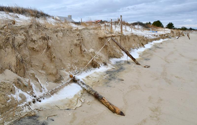 Since dune fencing was installed along the Lewes Beach shoreline in 2019, several storms have caused erosion and destroyed the fence on multiple occasions.