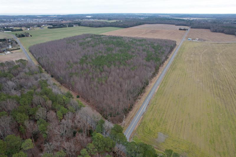 The forested area at the intersection of Hudson Road and Log Cabin Hill Road is included in the project. NICK ROTH PHOTO