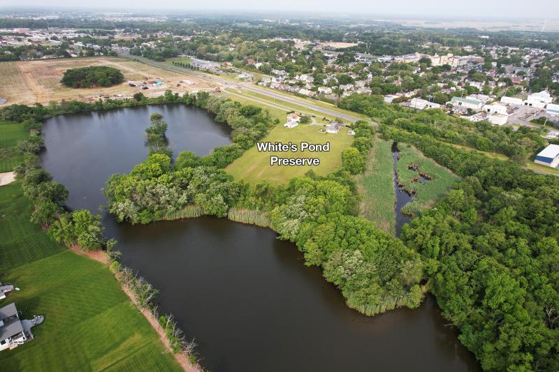 White’s Pond Preserve is sandwiched between Freeman Highway and White’s Pond. NICK ROTH PHOTO