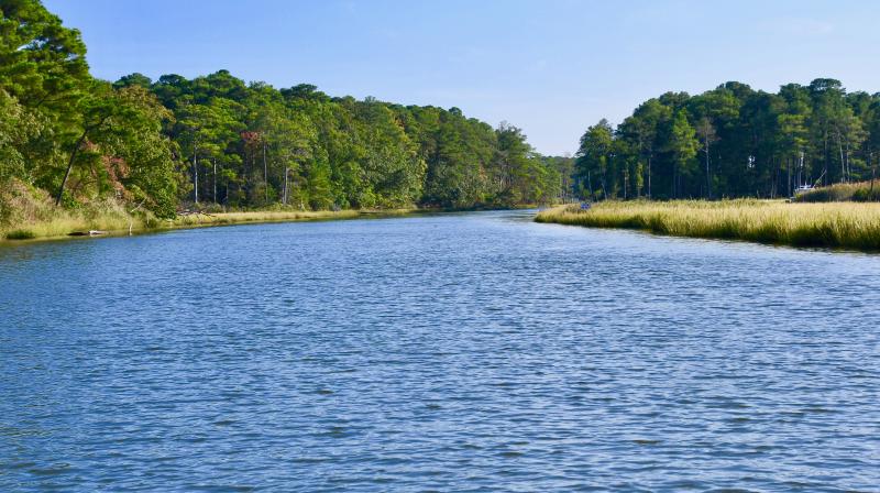 Large expanses of the Lewes-Rehoboth Canal look like they did when the canal was first opened in 1916. RON MACARTHUR PHOTO