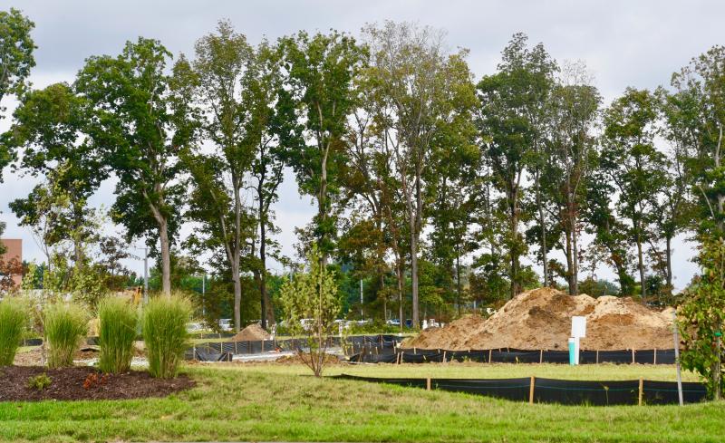 Tree preservation is sure to be one of the main topics discussed during a county council-planning & zoning commission workshop Thursday, Sept. 21.