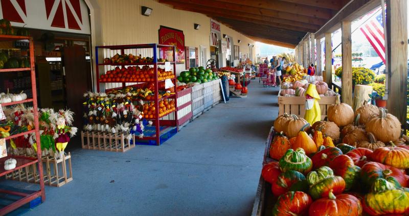The colors of the fall welcome visitors to Parson’s Farm Produce Market near Dagsboro.