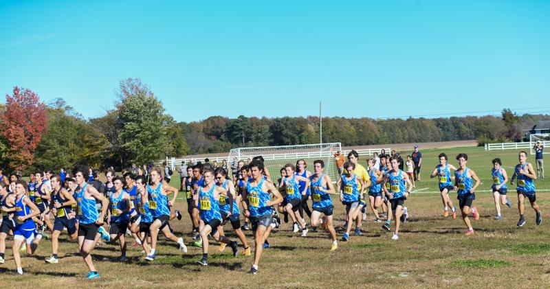 Sandhill Fields was the setting for the Sussex County Cross Country Championships.