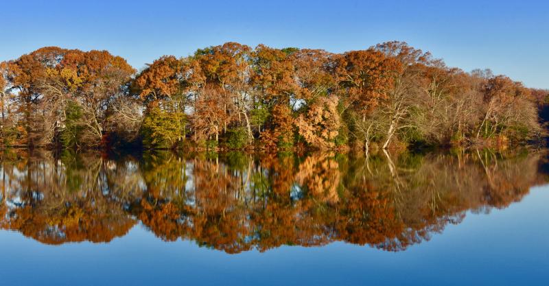 Natural scenic beauty is another reason people come to Sussex County. The county has a plethora of ponds, wetlands, rivers and other waterways.