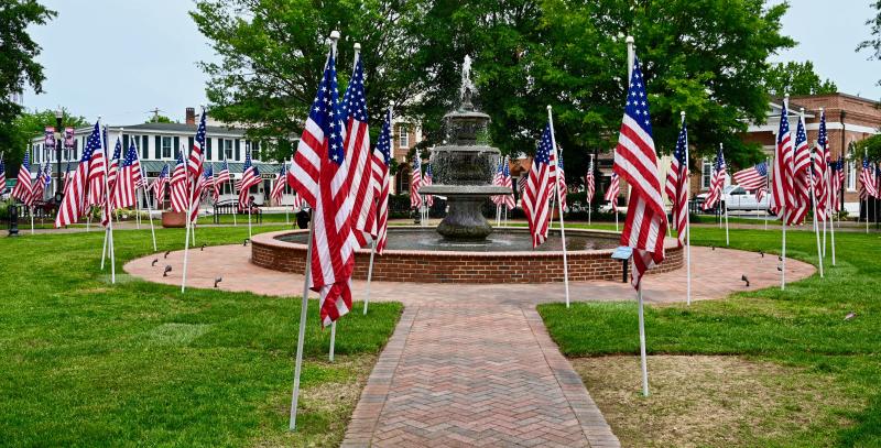 The Rotary Club of Georgetown-Millsboro brings the red, white and blue to The Circle each Memorial Day in its Flags for Heroes program. Flags are also placed at Delaware Tech and three locations in Millsboro. Rotary members thanked their sponsors and introduced grant recipients at a Nov. 28 luncheon. RON MACARTHUR PHOTOS