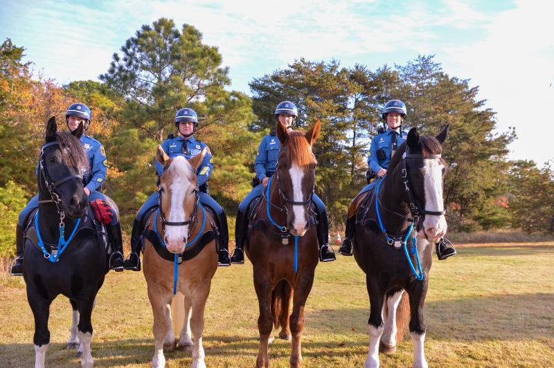 The Delaware State Police Mounted Patrol Unit comprises (l-r) Cpl. Andrew Jones, Sgt. Tonya Widdoes, Cpl. Brooke Watkinson and Sgt. Alison Meadows.