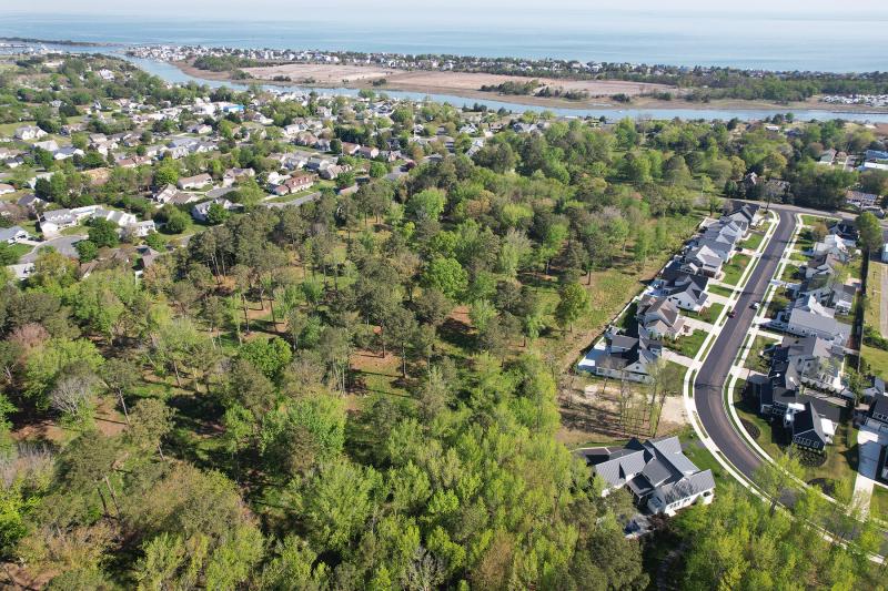 With the latest milestone announced toward fundraising goals, the 30-acre Fourth Street Forest is moving closer to becoming a preserve protected from future development. NICK ROTH PHOTO