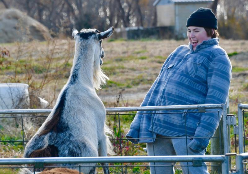 Caleb Craig from Severna Park, Md., visiting his family over the Thanksgiving holiday, gets a big surprise from a large goat who stands up unexpectedly in his cage at a petting zoo.