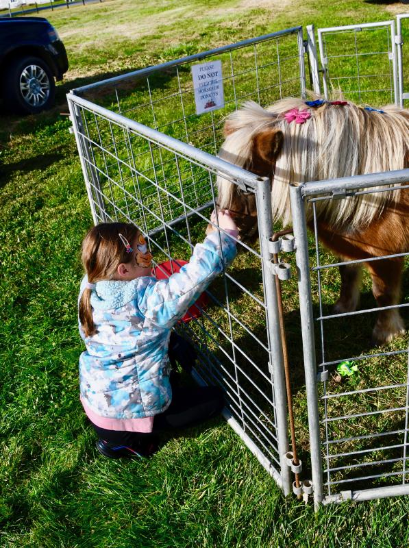 Ava Tramer, who is visiting family, gets up close and personal to a miniature pony at the event’s petting zoo.