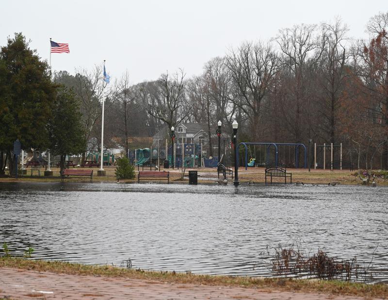The Broadkill River creeps into Milton Memorial Park. NICK ROTH PHTOTO