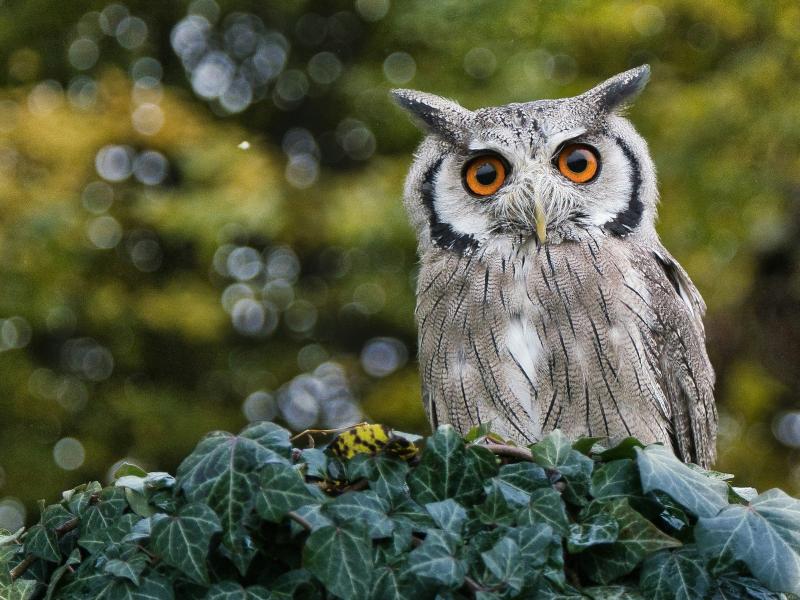 Photo by Jesse Cason on Unsplash