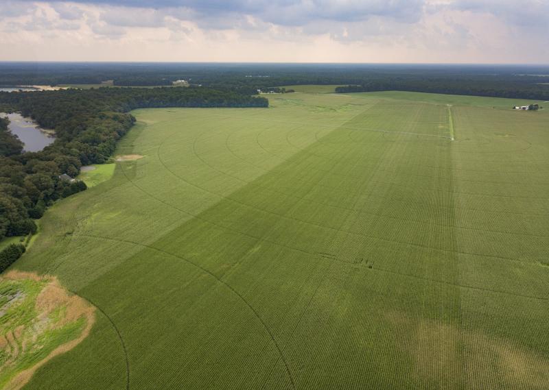 Construction on Phase 1 of the Granary at Draper Farm development in Milton is expected to get underway this summer. Final site-plan approval for the first phase of a planned 10-phase buildout, was approved April 1. NICK ROTH PHOTO
