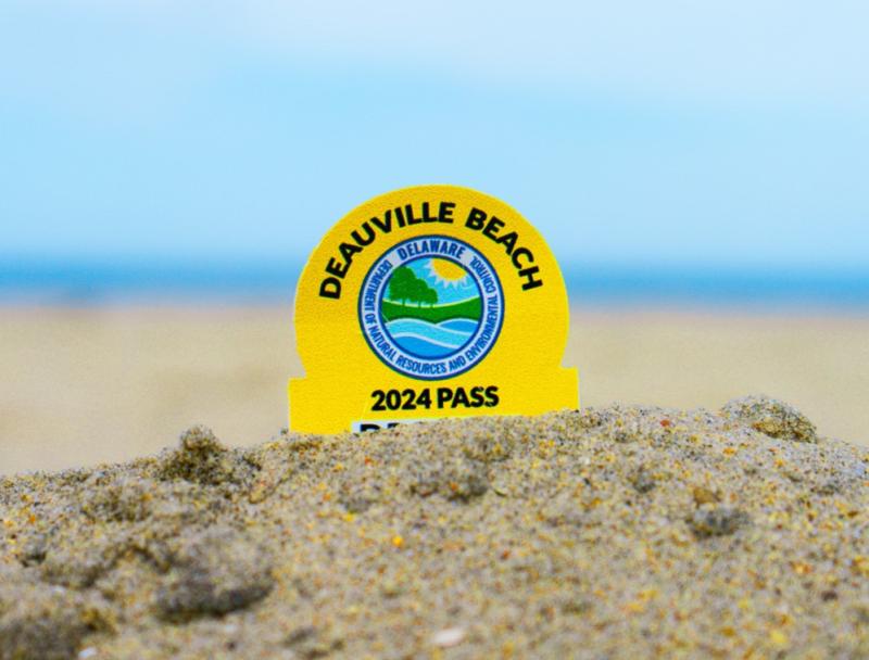 Deauville Beach annual passes will go on sale Wednesday, May 15. SUBMITTED PHOTO