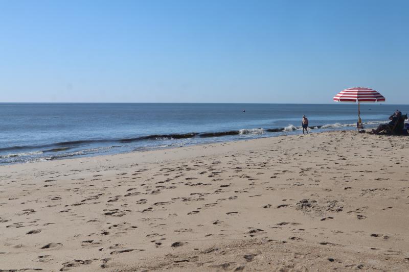 The weather was beautiful at the National Trails Day beach cleanup.