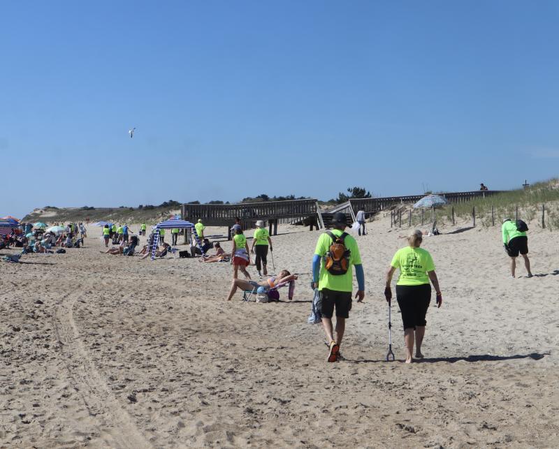 Volunteers walk down the beach looking for trash to pickup.