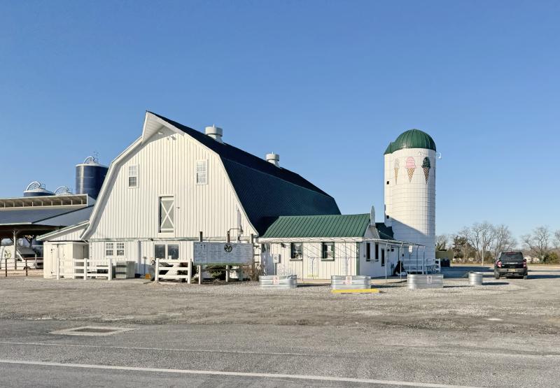 Heslep’s Coastal Cattle will offer an interactive presentation on the life of a dairy farm cow at Hopkins Farm Creamery Saturday, March 29. NICK ROTH PHOTO