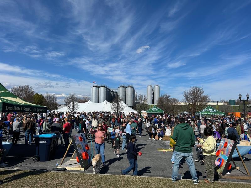 The back parking lot of Dogfish Head in Milton is full of people on 302 Day.