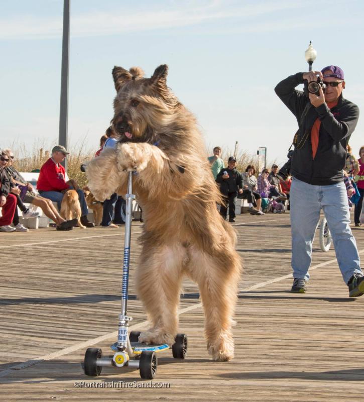 Ron MacArthur enjoyed photographing the many community events in Sussex County. PHOTO COURTESY OF DAVE KOSTER