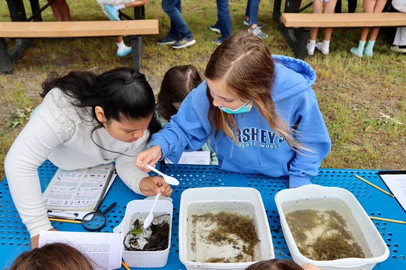 Victoria Morales Gonzalez, left, and Avery Stark spoon out some tiny creatures found in Silver Lake in Rehoboth Beach. Save Our Lakes Alliance 3 hosted its 14th annual workshop for fifth-graders at Rehoboth Elementary School May 29. The goal was to teach them about the biodiversity of the lake, which is located in the school’s backyard. BILL SHULL PHOTOS