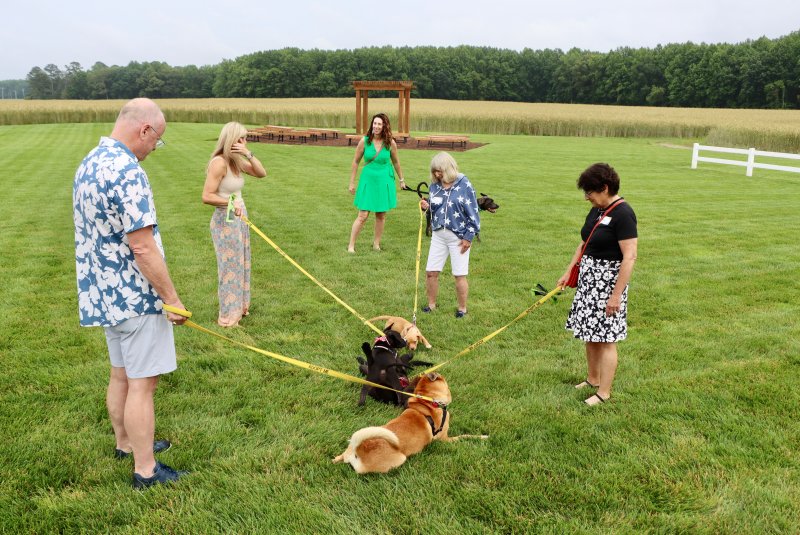 Humane Animal Partners held its annual Wags, Whiskers and Wine fundraiser at Honey Bee Barn near Milton June 6. The event is a night out for people, their pets and dogs looking for their forever homes at HAP’s Rehoboth Beach shelter. Letting the pooches play are (l-r) Kevin McDonald, Kelly Turner, Jenn Costello, Carolee Botts and Ellen Hudson.