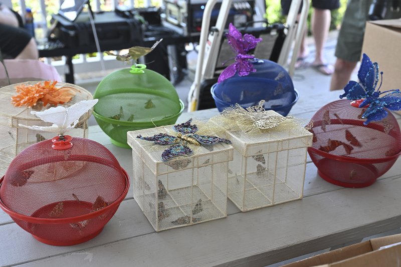 Butterflies await distribution to participants.