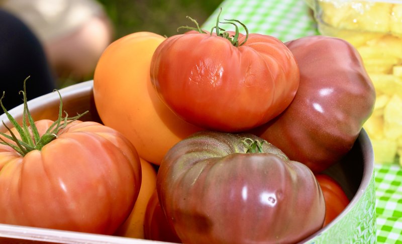 Fresh produce like backyard summer tomatoes can be donated to the Food Bank of Delaware and its partner pantries statewide. RON MACARTHUR PHOTO