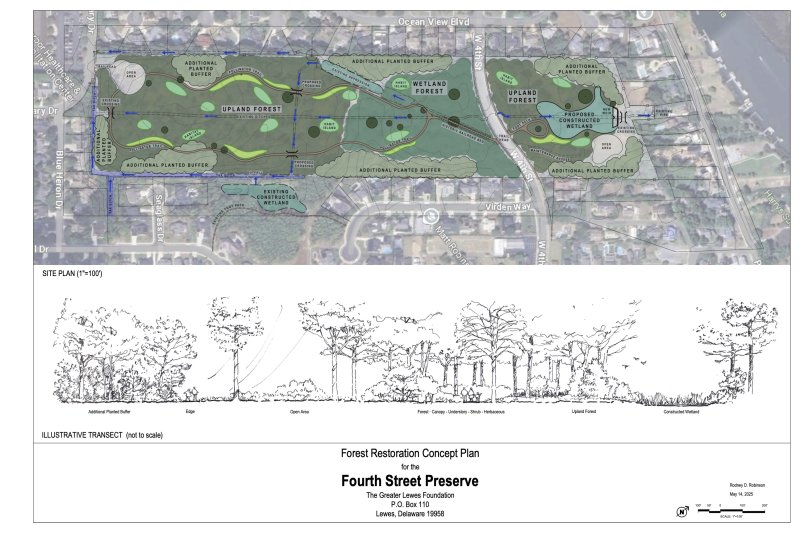 The conceptual plan for the Fourth Street Preserve in Lewes. Mayor and city council unanimously approved a conservation easement Aug. 5, that sets guidelines and qualifications for what can and cannot happen on the 30-acre property. The city is expected to take ownership by Sept. 15. CITY OF LEWES IMAGE