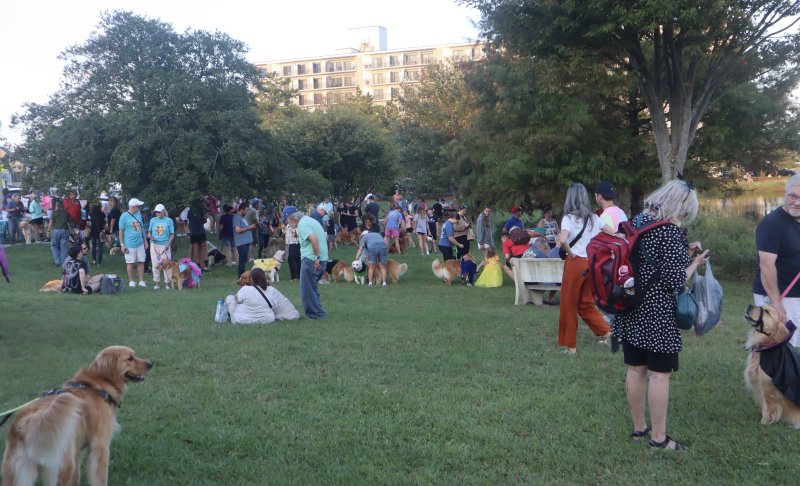 Hundreds of families and their golden retrievers meet at Lake Gerar Park before the Gold Rush Parade.