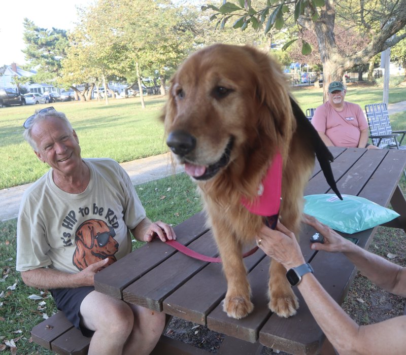 Finnigan wants to be the center of attention as owner Dave Shores smiles.