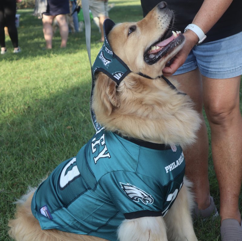 Mango dressed as Super Bowl champion Saquon “Bark”ley.