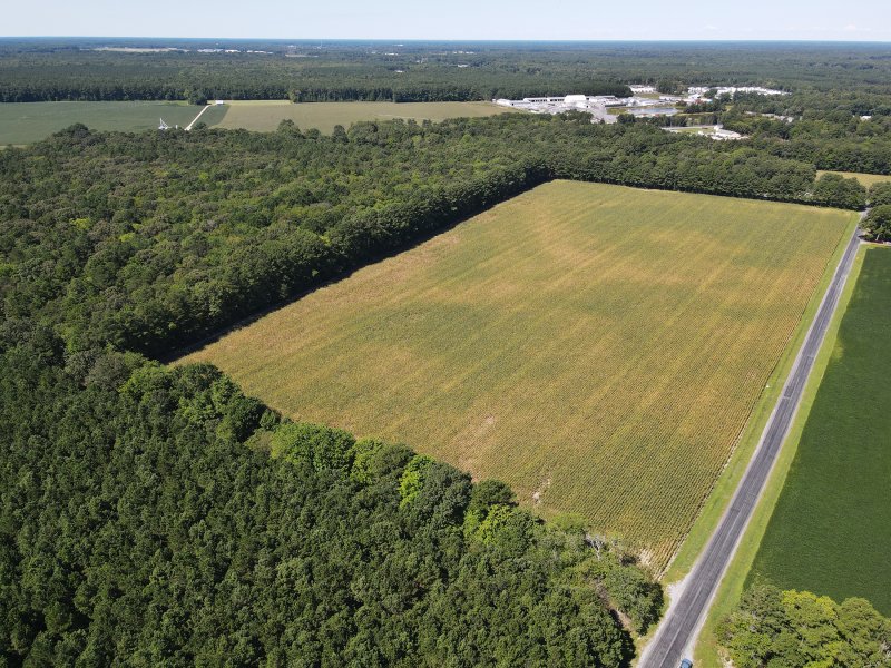 The Wollaston-Baxter-Shinn subdivision proposes 155 single-family home lots on 78 acres between Gravel Hill Road and Bennum Switch Road between Milton and Georgetown. NICK ROTH PHOTO