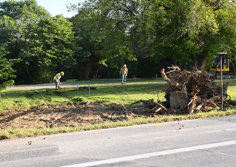Crews have been clearing trees in the area of Cave Neck Road and Hudson Road near Milton as part of a water main project.
