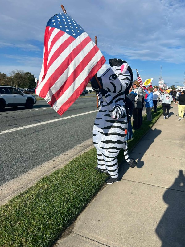 A costumed zebra waves an American flag during the No Kings Day of Action in Rehoboth Beach. BOB DUNBAR PHOTO