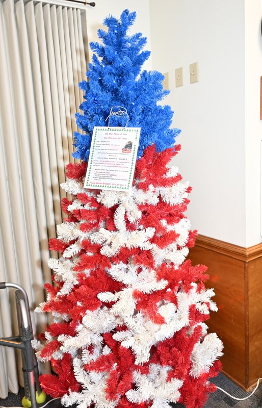 The veteran’s gift tree provides Christmas gifts for 300 veterans. The presents were donated by American Legion members.